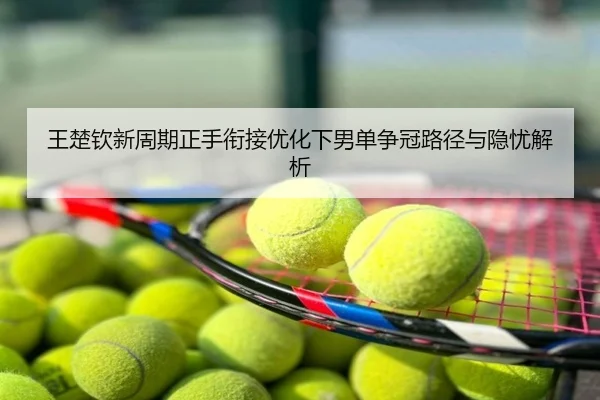 王楚钦新周期正手衔接优化下男单争冠路径与隐忧解析